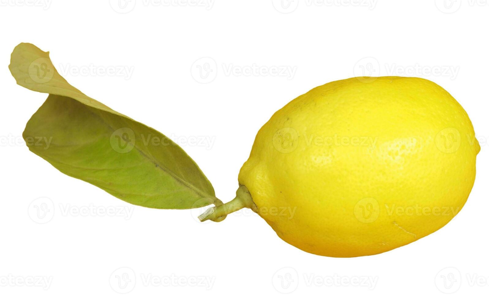 Zitrone isoliert Über Weiß foto