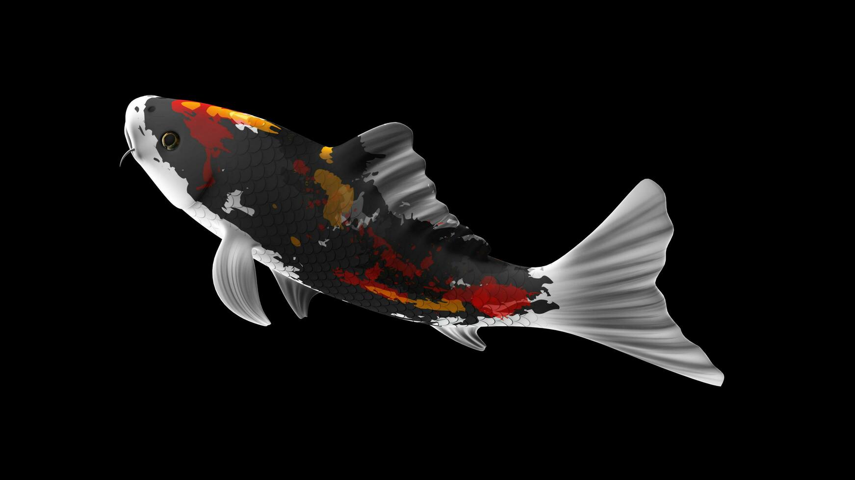 Single Schwarz, rot und Weiß Farbe Koi Fisch 3d Rendern japanisch Karpfen foto