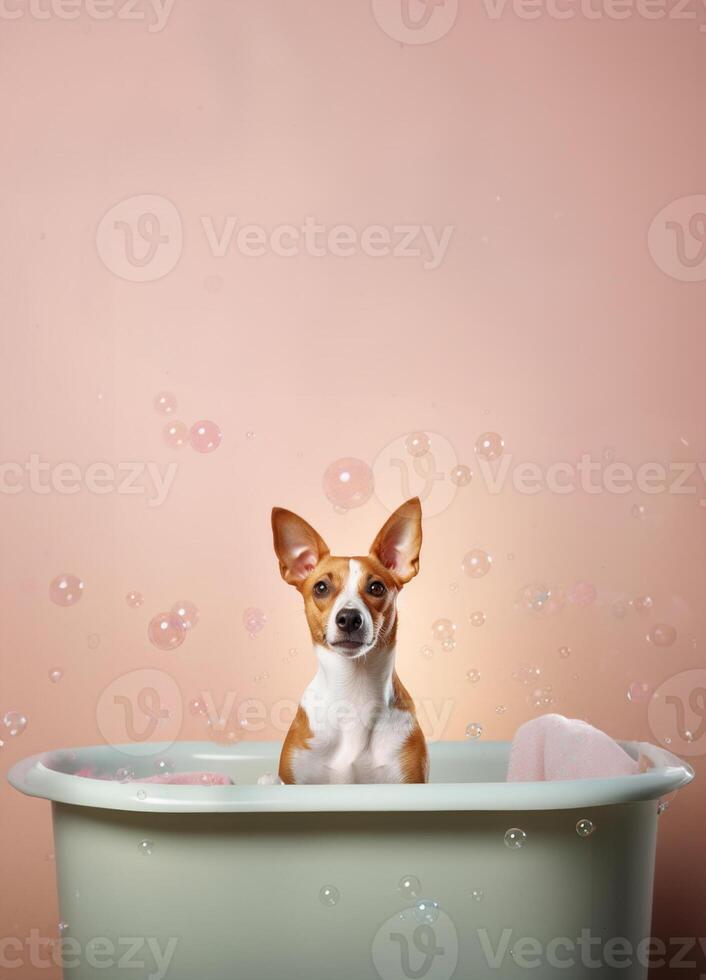 süß Basenji Hund im ein klein Badewanne mit Seife Schaum und Blasen, süß Pastell- Farben, generativ ai. foto