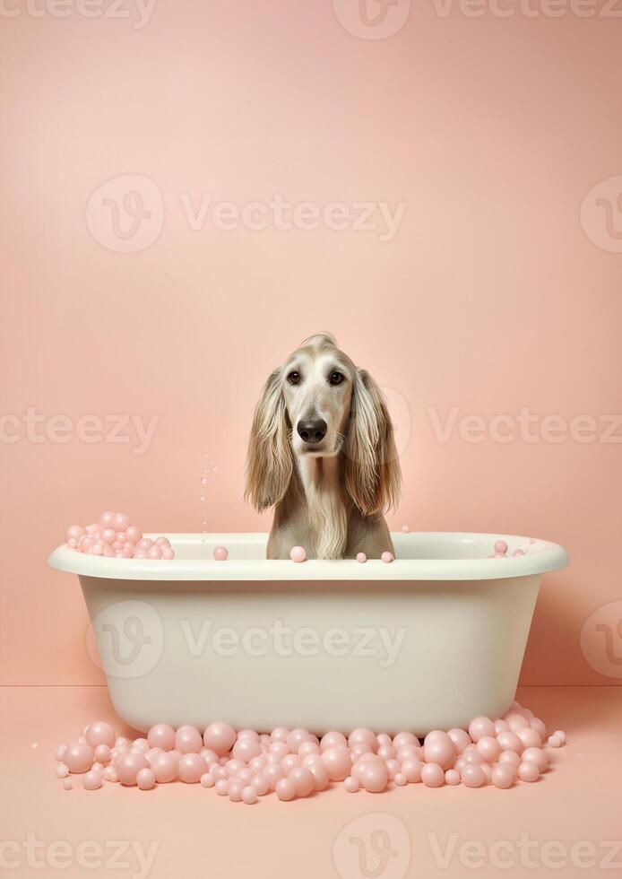 süß afghanisch hetzen Hund im ein klein Badewanne mit Seife Schaum und Blasen, süß Pastell- Farben, generativ ai. foto