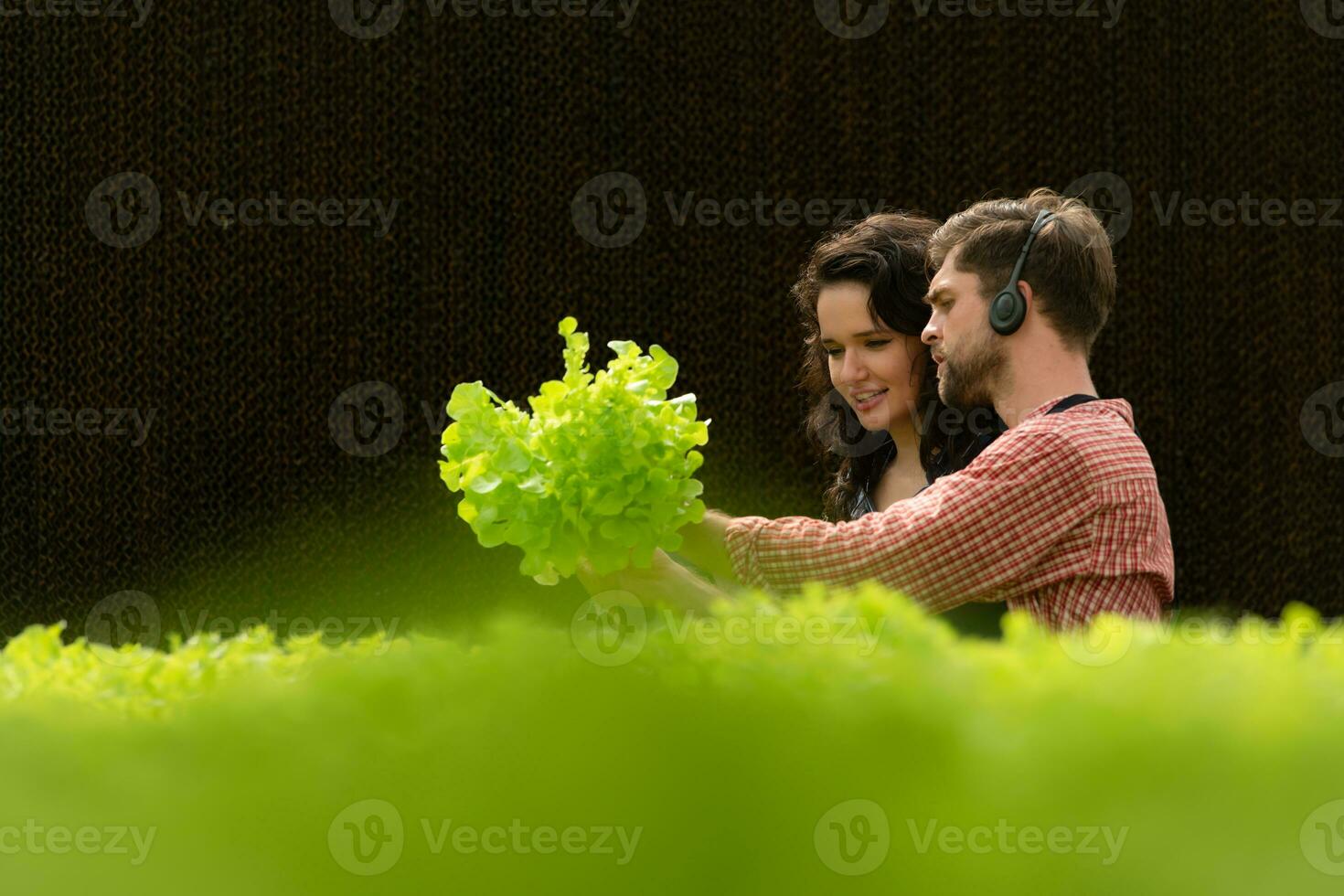 zwei klein Geschäftsleute organisch Gemüse Garten Inhaber zur Zeit Einführung Kunden und zeigen Sie seine organisch Gemüse Garten über online System. foto