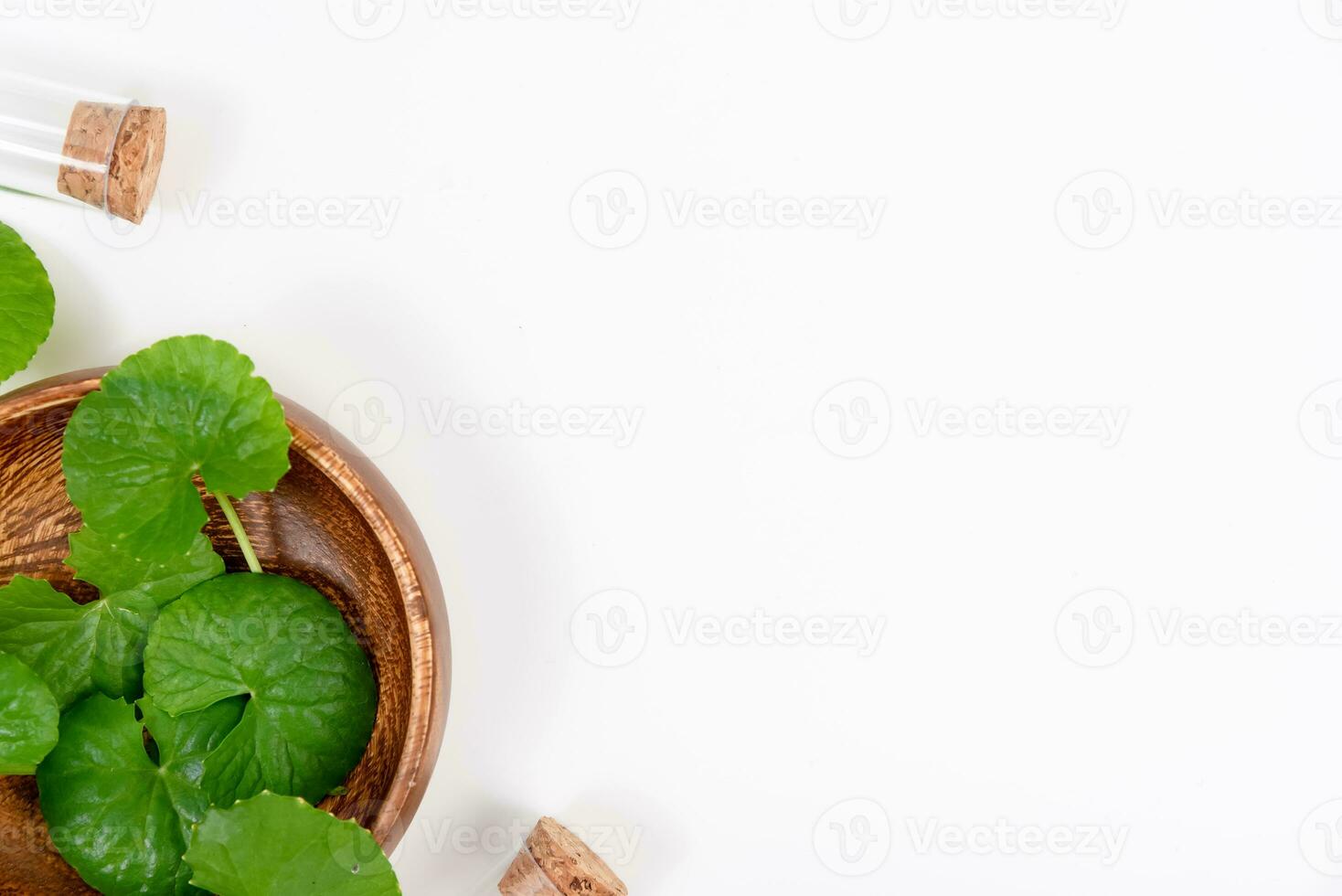 oben Aussicht auf Tabelle Centella asiatica Blätter mit isoliert auf Weiß Hintergrund foto