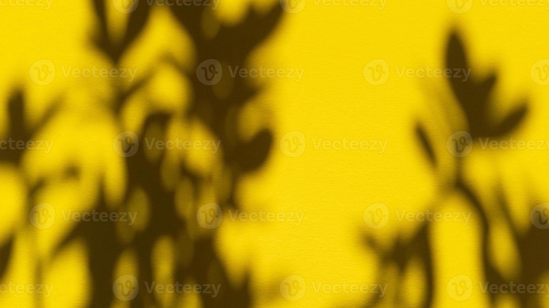 hinterlässt Schatten auf gelbem Pastellpapier. abstrakter Hintergrund. Stock Foto. foto