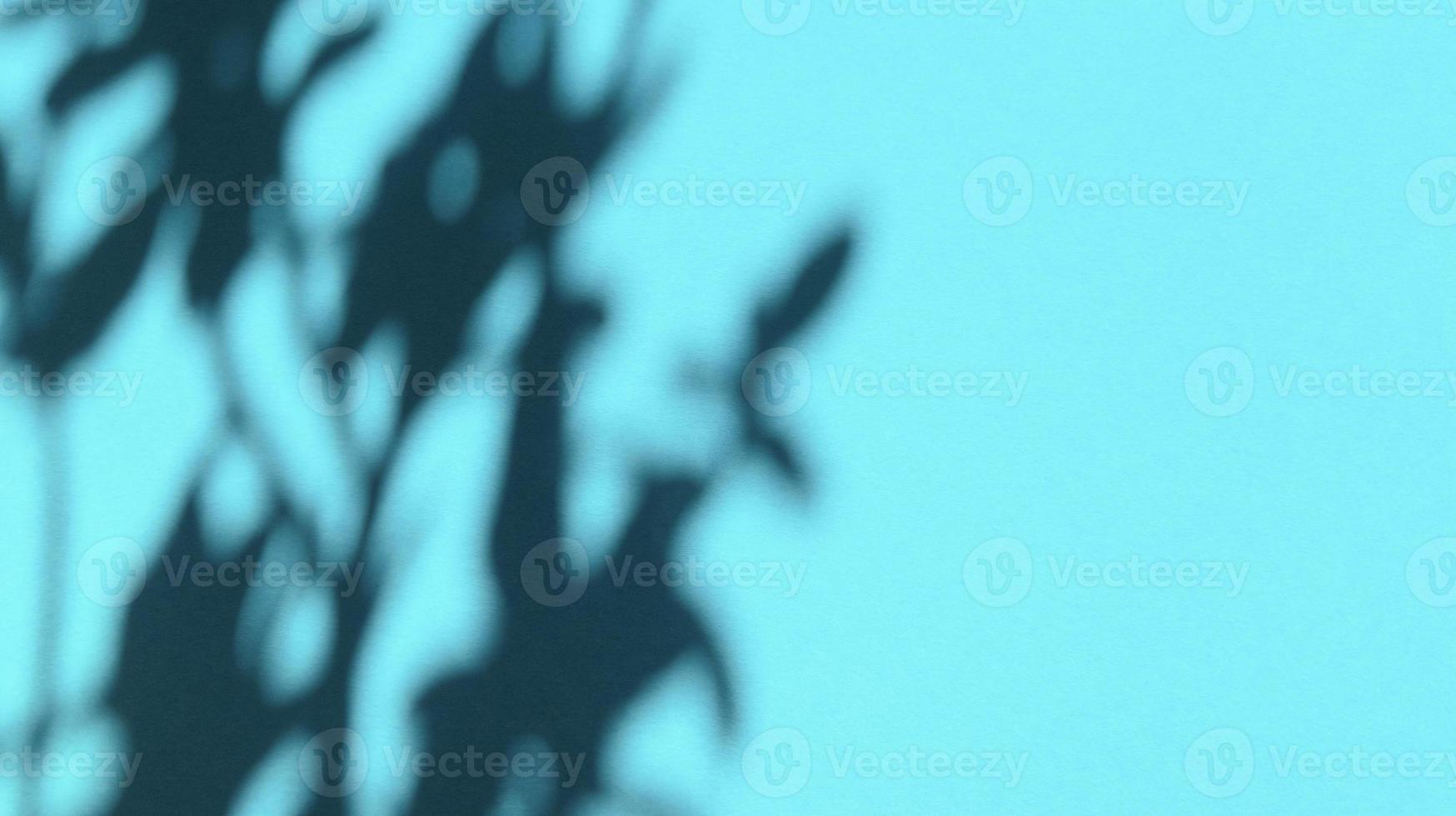 hinterlässt Schatten auf blauem Pastellpapier. abstrakter Hintergrund. Stock Foto. foto