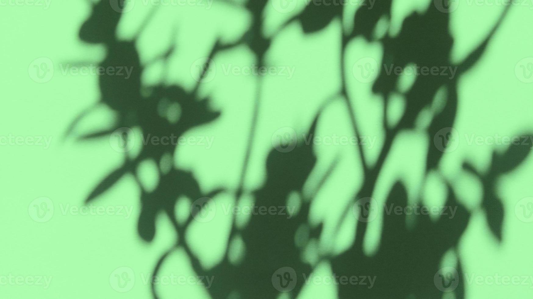 hinterlässt Schatten auf grünem Pastellpapier. abstrakter Hintergrund. Stock Foto. foto