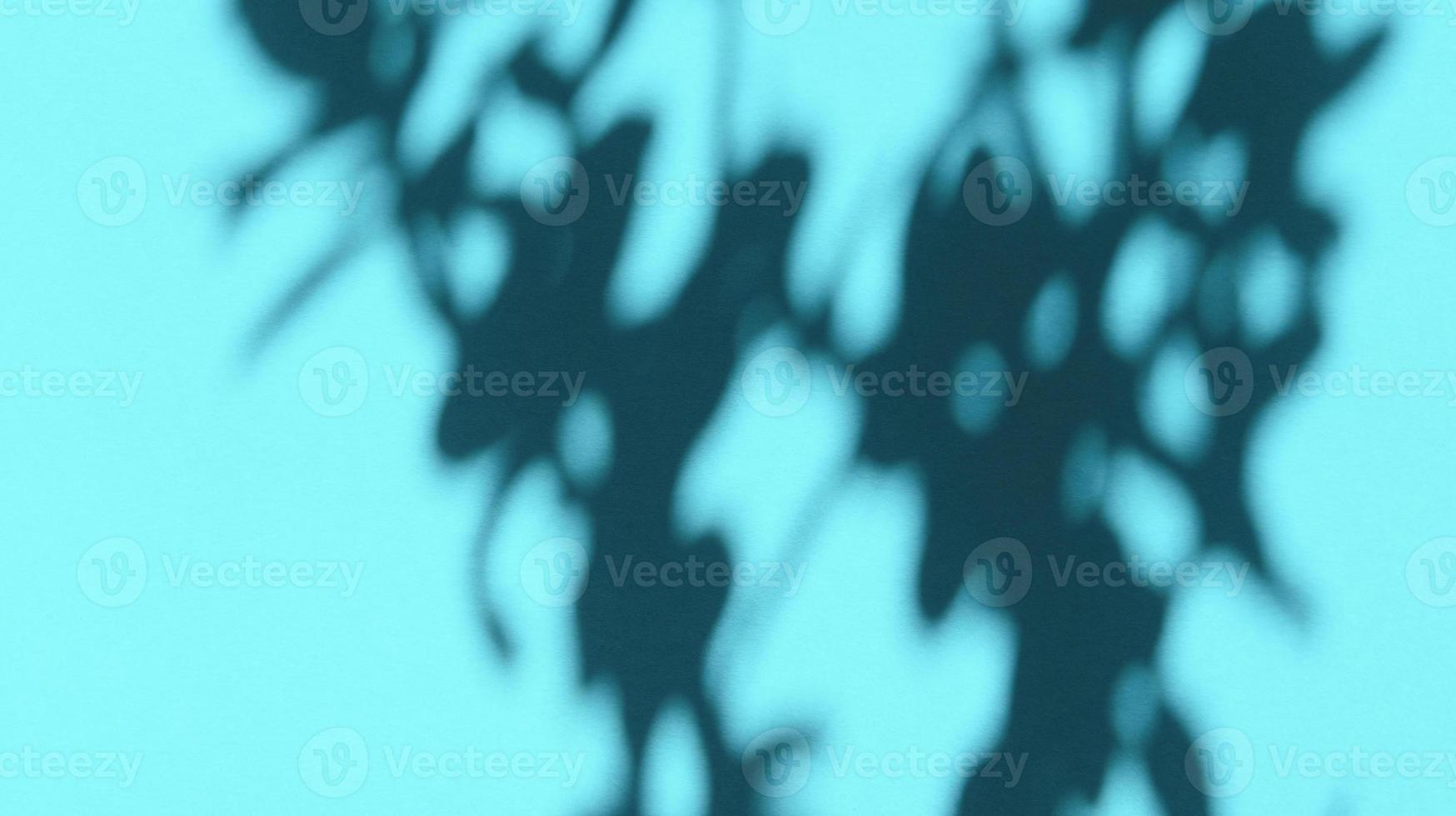 hinterlässt Schatten auf blauem Pastellpapier. abstrakter Hintergrund. Stock Foto. foto