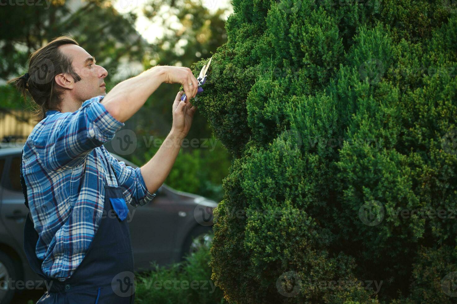 Beschneidung Garten Bäume. Gärtner im Arbeit Uniform, schneidet Hecke mit Schermaschinen. Arbeiter Trimmen und Landschaftsbau Grün Gebüsch foto