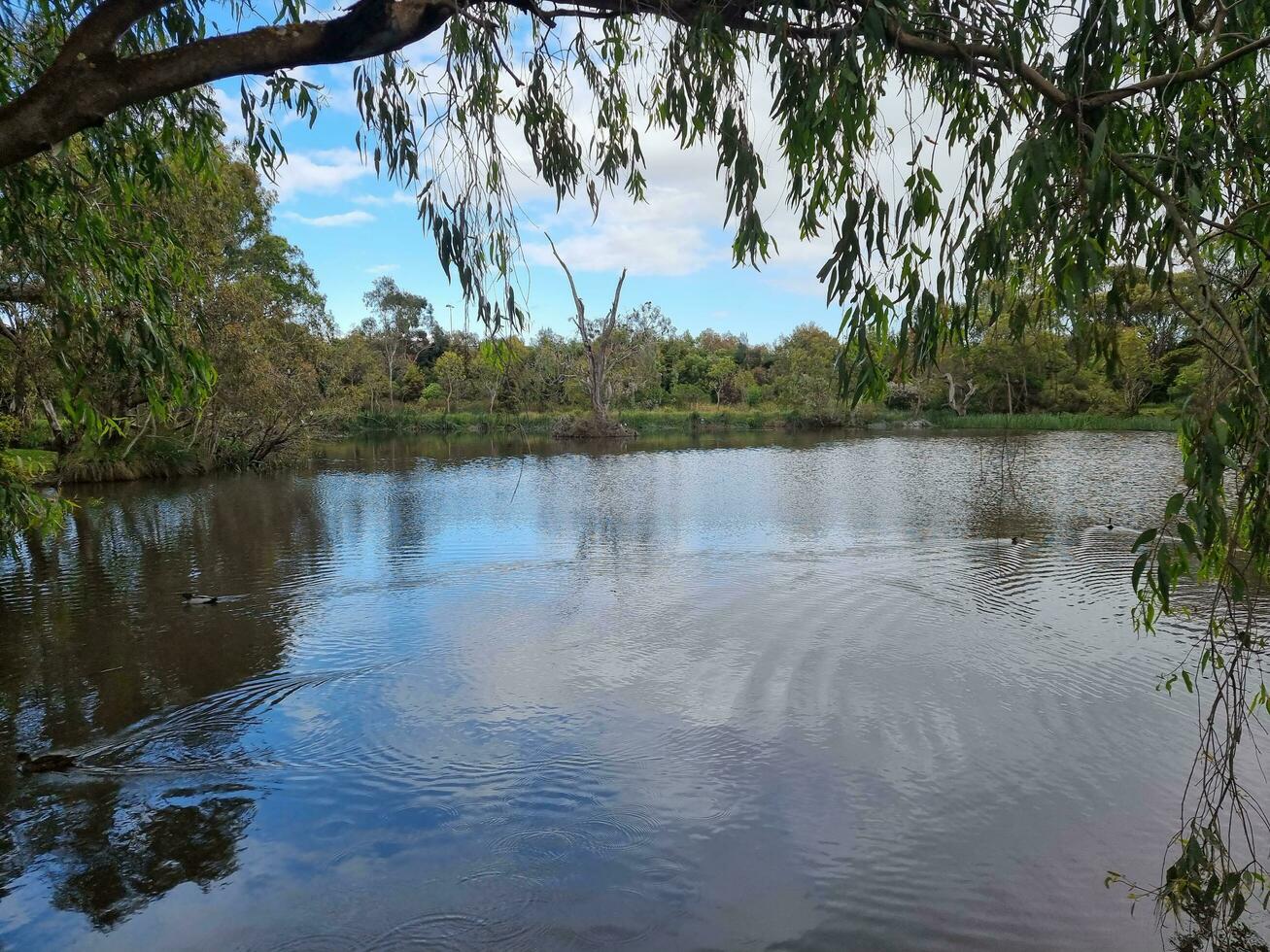 balyang Zuflucht, Viktoria, Australien foto