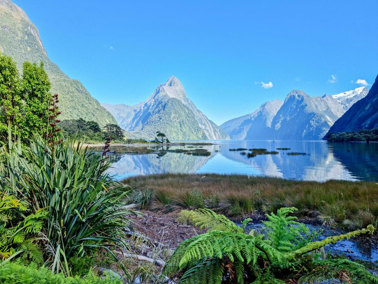 Milford Klang, Südland, Neu Neuseeland foto