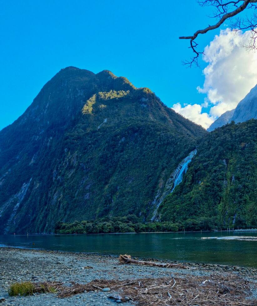 Milford Klang, Südland, Neu Neuseeland foto