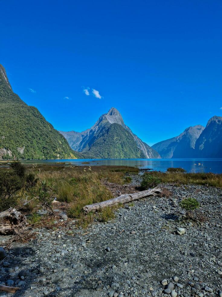 Milford Klang, Südland, Neu Neuseeland foto