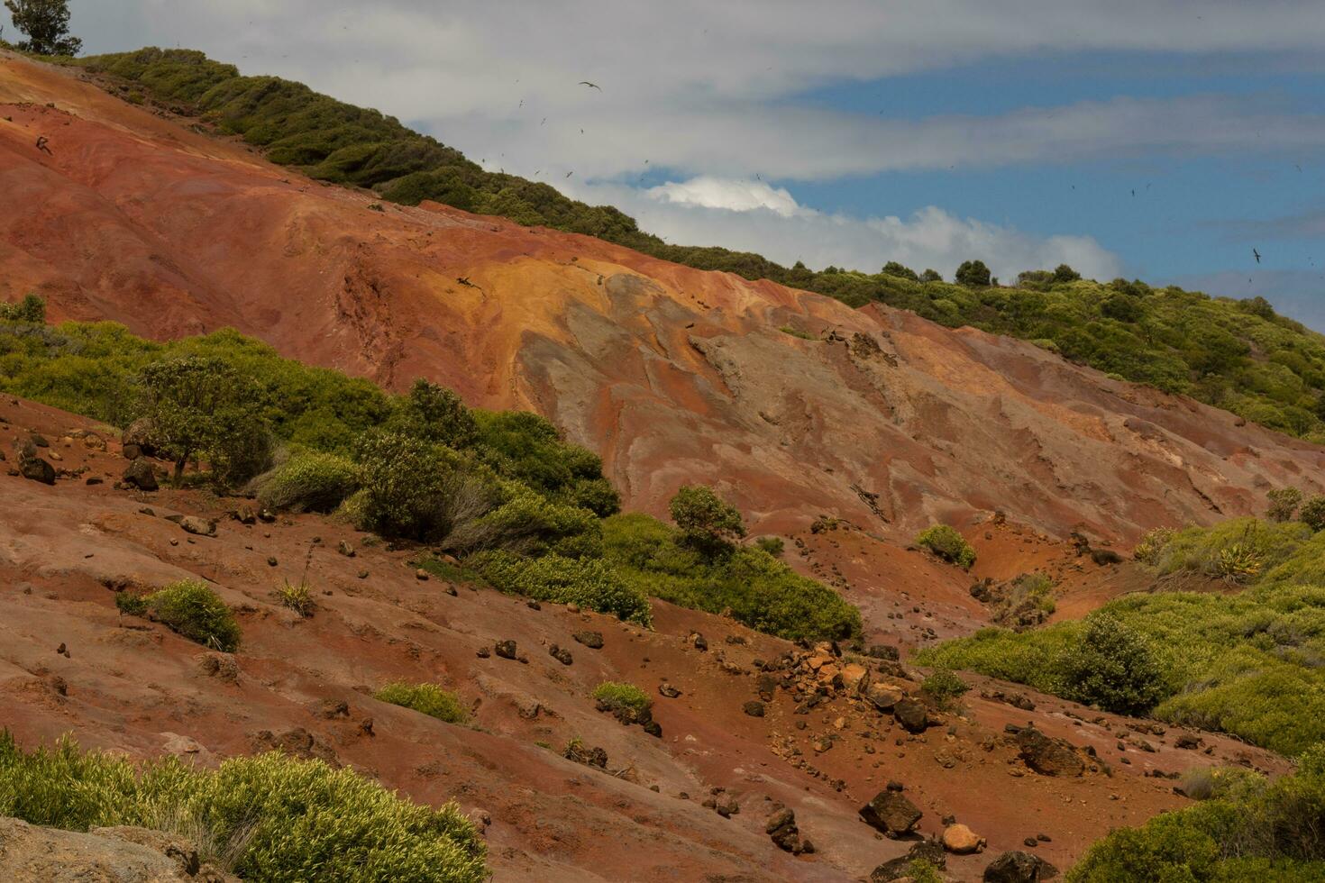 Norfolk Insel Landschaft, Australien foto