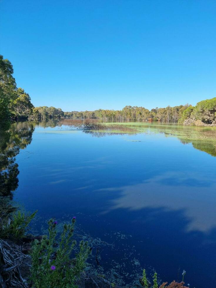 Serendip Zuflucht, Victoria Australien foto