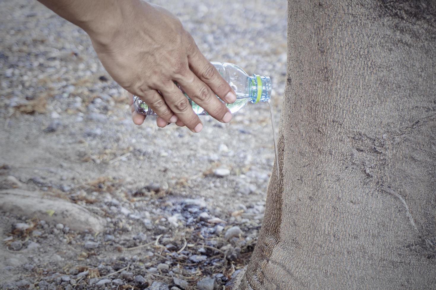 Mannhand, die eine Wasserflasche hält, die ein großes Baumkonzept bewässert, das dem thailändischen Volk des Buddhismus heilig ist foto