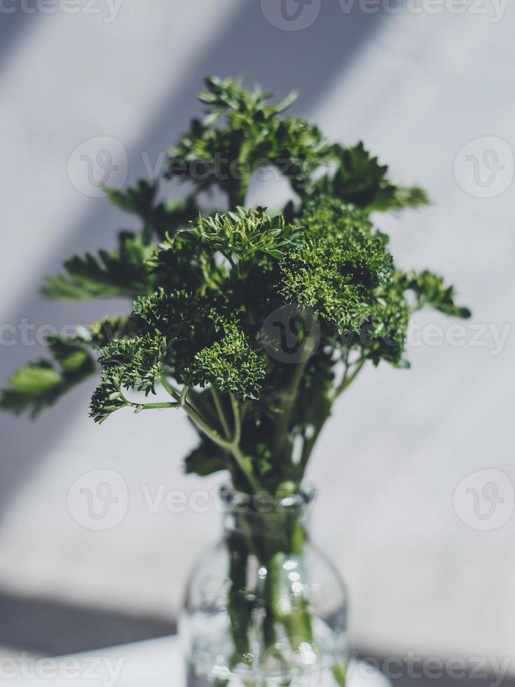 frische Petersilie im Glas foto