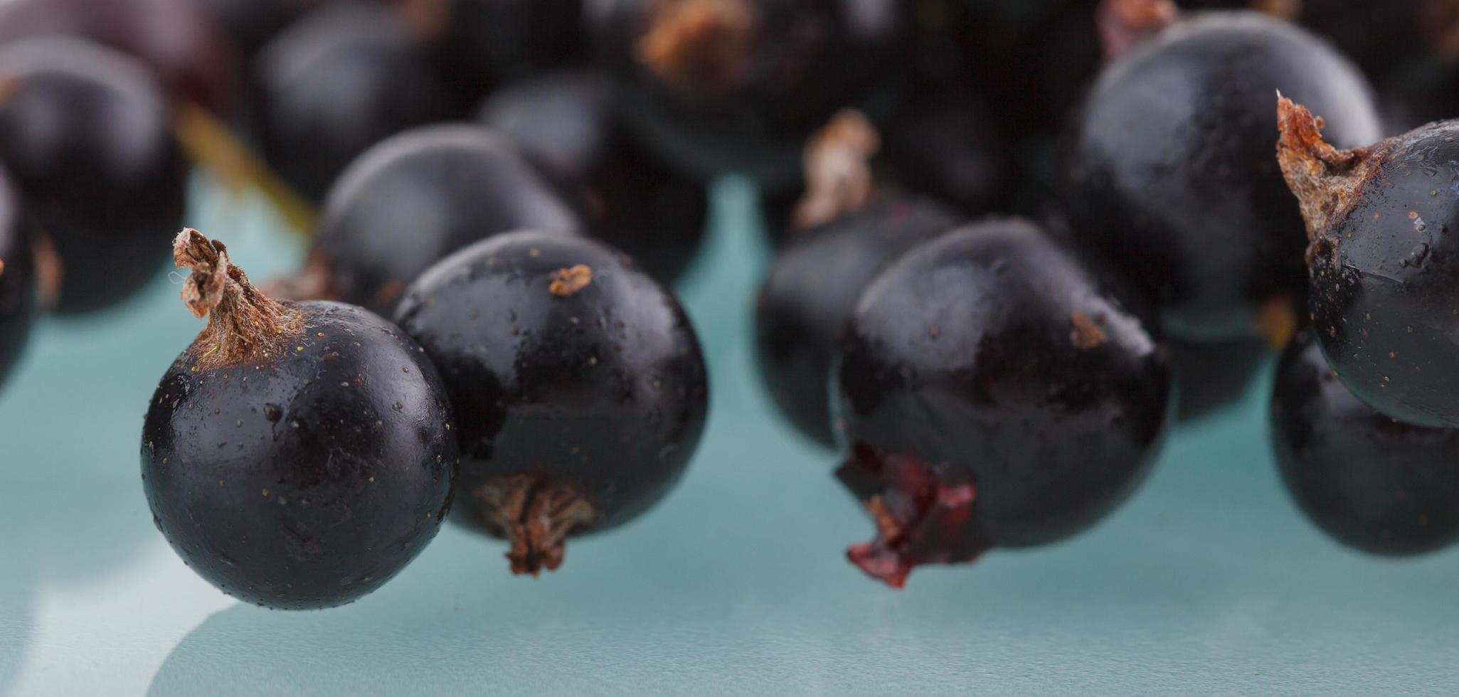 schwarze Johannisbeere, Beeren aus dem gesunden Biogarten Sommer schmecken nach Wildfrüchten foto