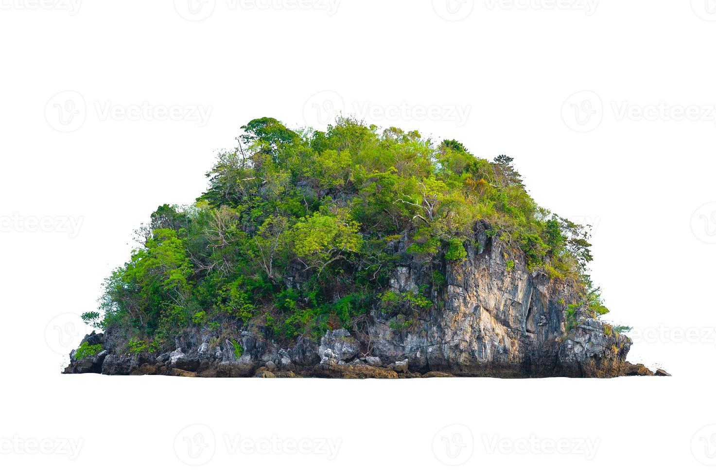isolieren Sie die Insel in der Mitte des grünen Meeres weißer Hintergrund vom Hintergrund getrennt foto