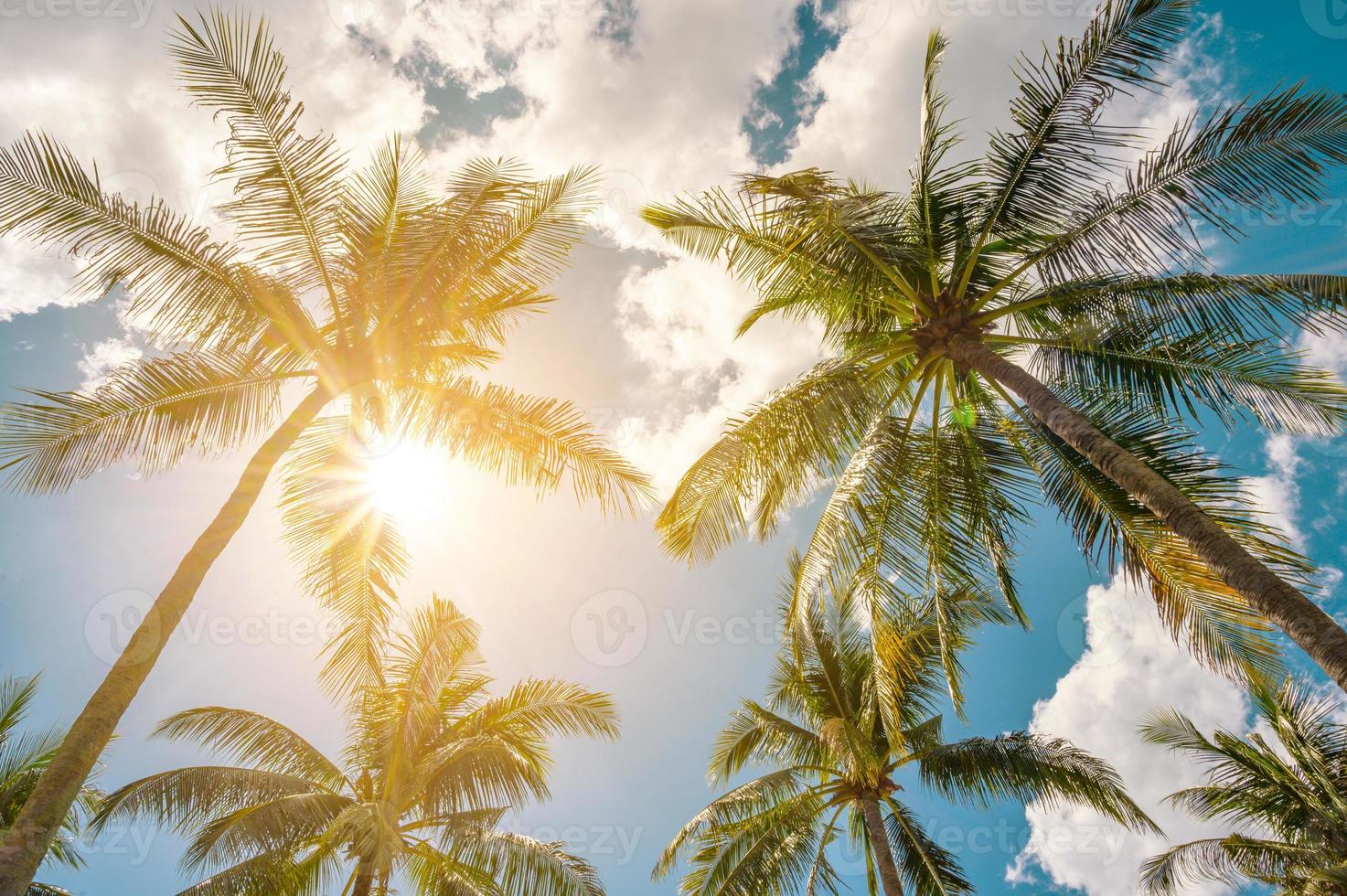 Kokospalmen und Sonne mit Wolken über dem Himmel. Sommer Konzept. foto