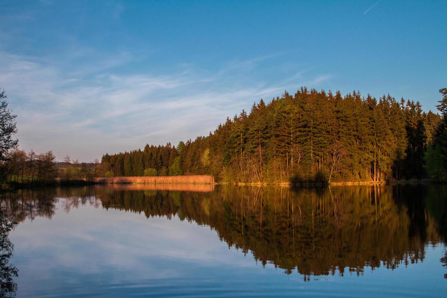 Spiegelung im Teich foto