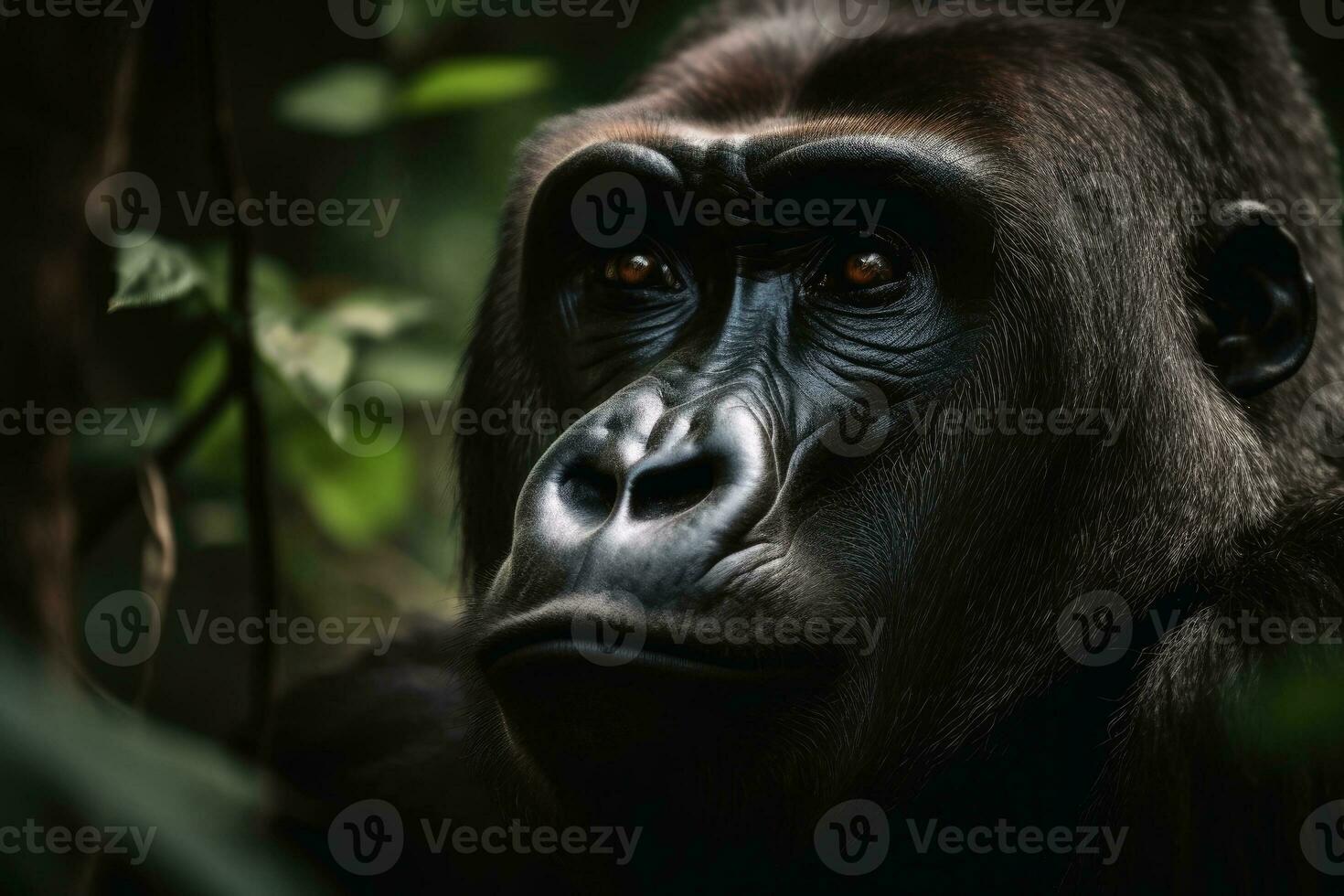 ein Porträt von ein groß männlich Gorilla im das Urwald erstellt mit generativ ai Technologie. foto