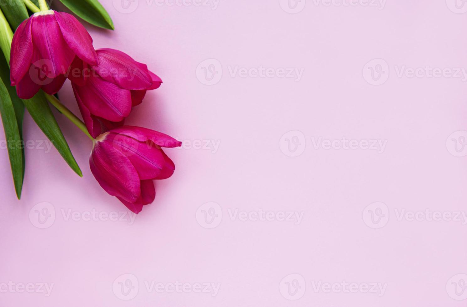 schöner Tulpenstrauß foto