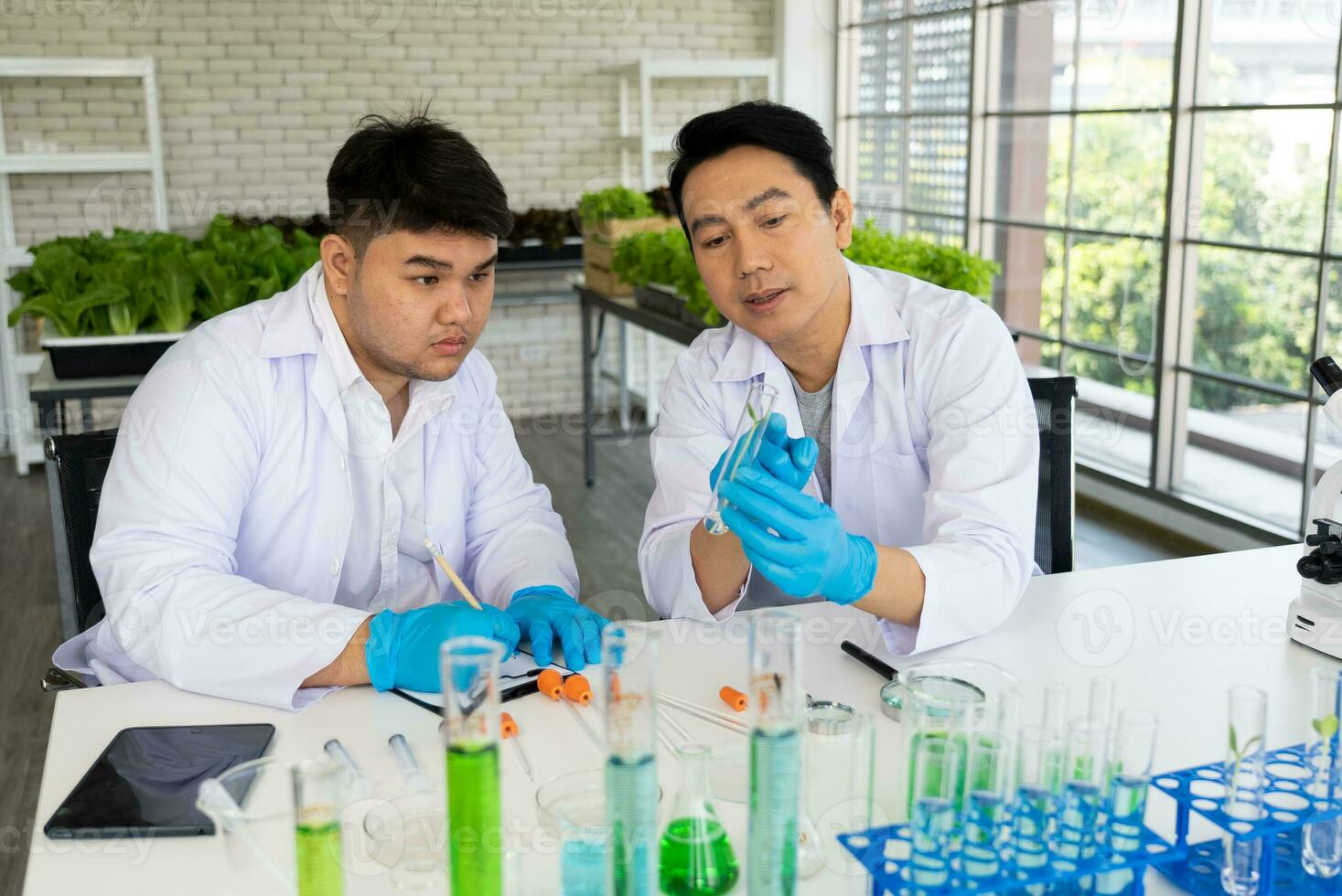 Wissenschaftler Mannschaft tun Experiment im Landwirtschaft Labor zu entwickeln genetisch Änderung Pflanzen foto