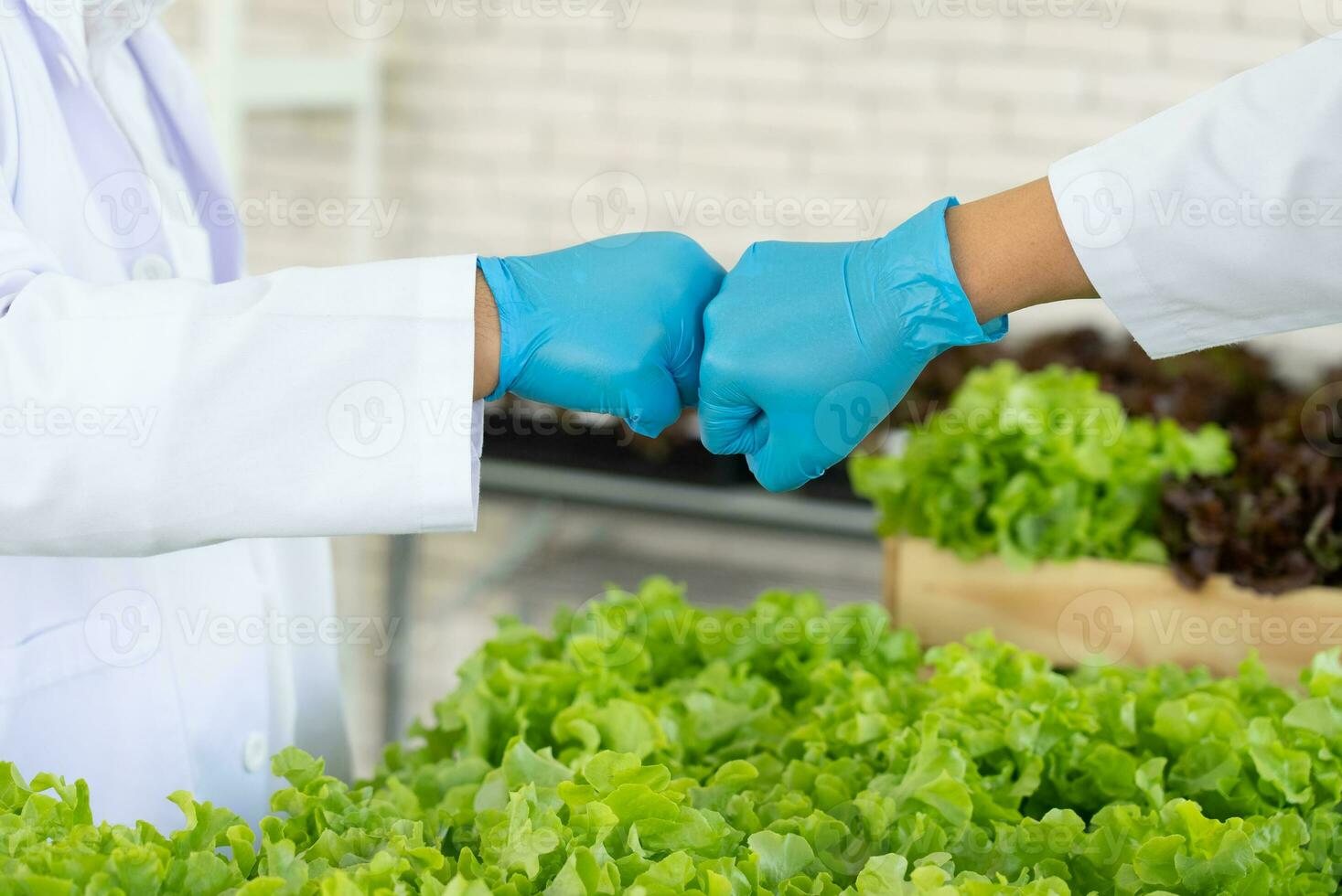 Wissenschaftler Mannschaft tun Experiment im Landwirtschaft Labor zu entwickeln genetisch Änderung Pflanzen foto