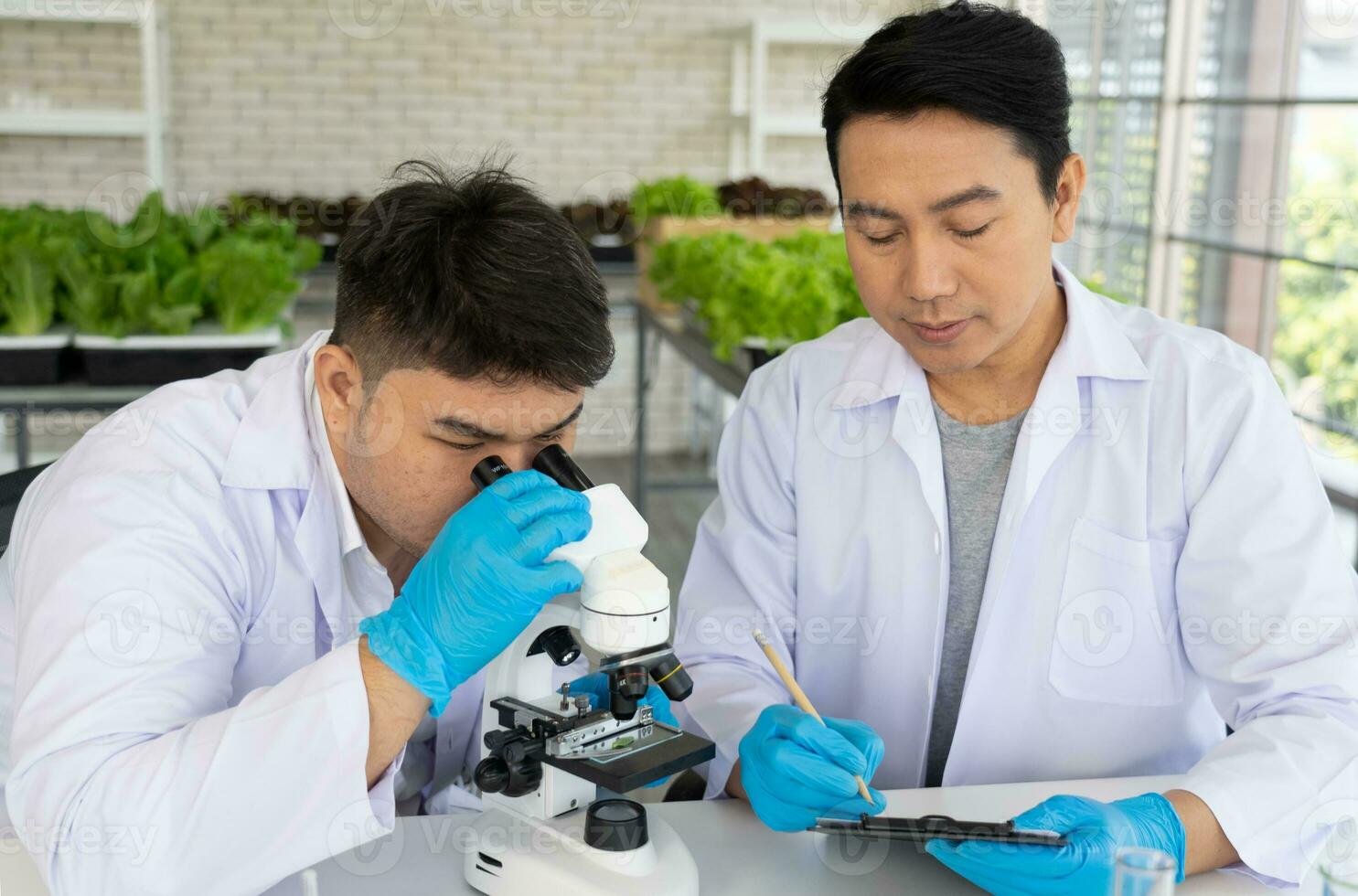 Wissenschaftler Mannschaft tun Experiment im Landwirtschaft Labor zu entwickeln genetisch Änderung Pflanzen foto