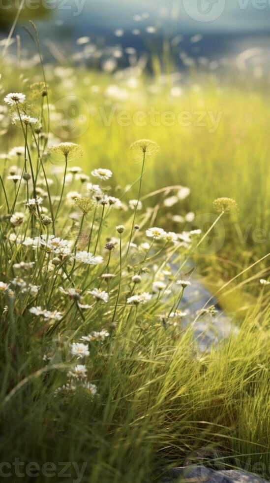 Wiese Weiß Blume und Gras Hintergrund. ai generiert foto