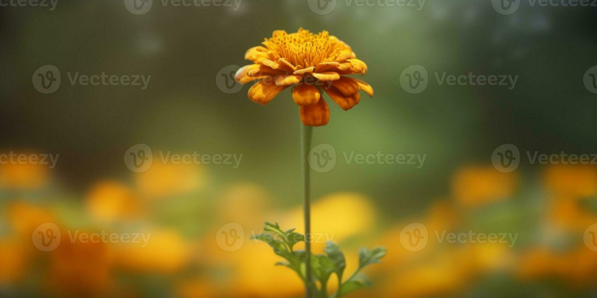 Ringelblume Blume, Kopieren Raum verschwommen Hintergrund, ai generiert foto