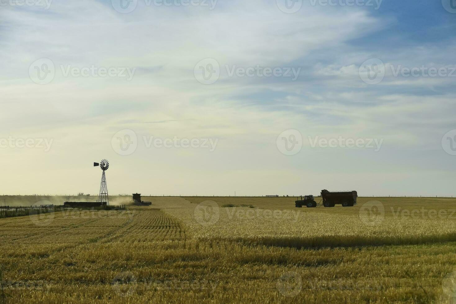 Mähdrescher Maschine, Ernte im das Argentinien Landschaft, Buenos Aires Provinz, Argentinien. foto