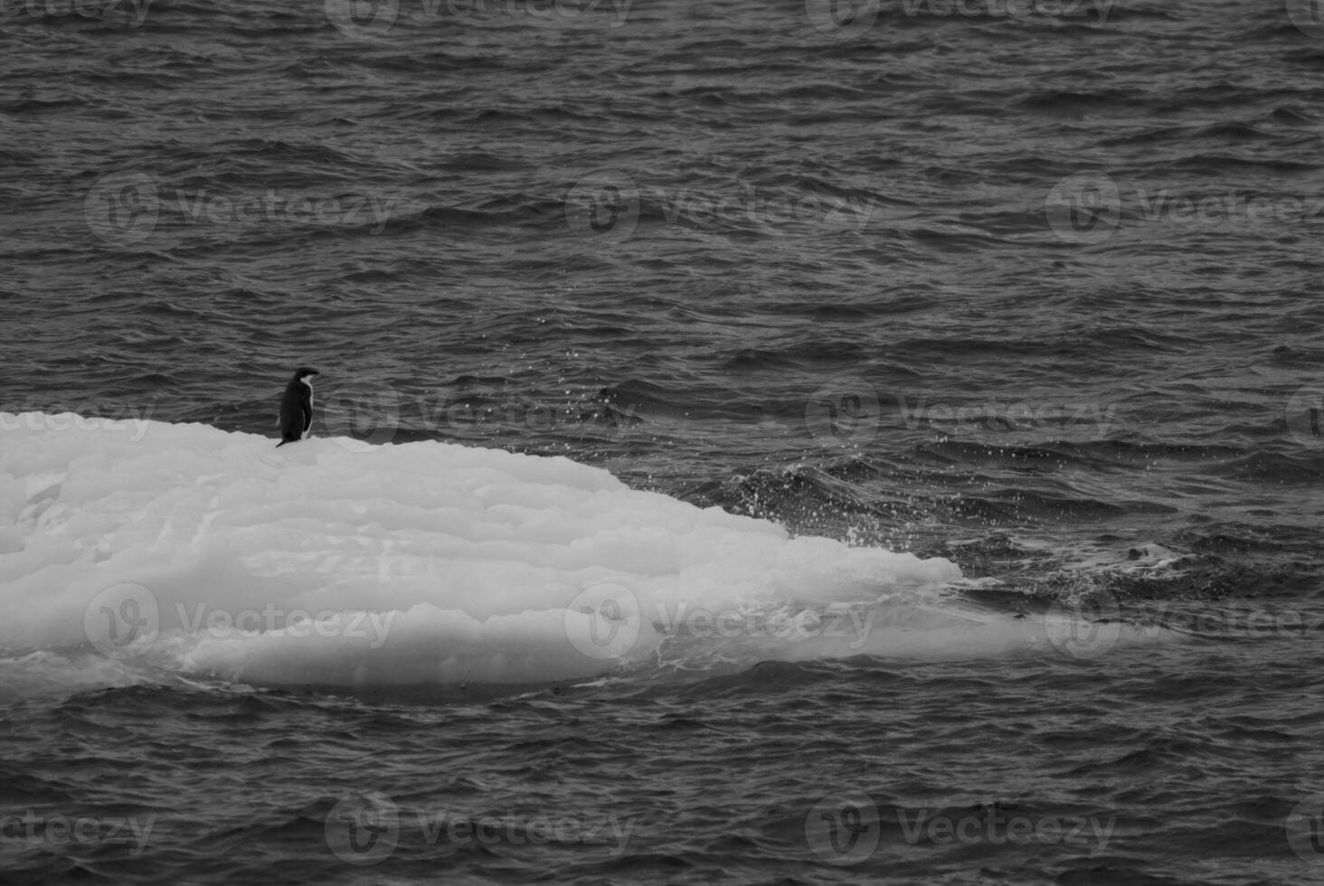 wild gefroren Landschaft, Antarktis foto