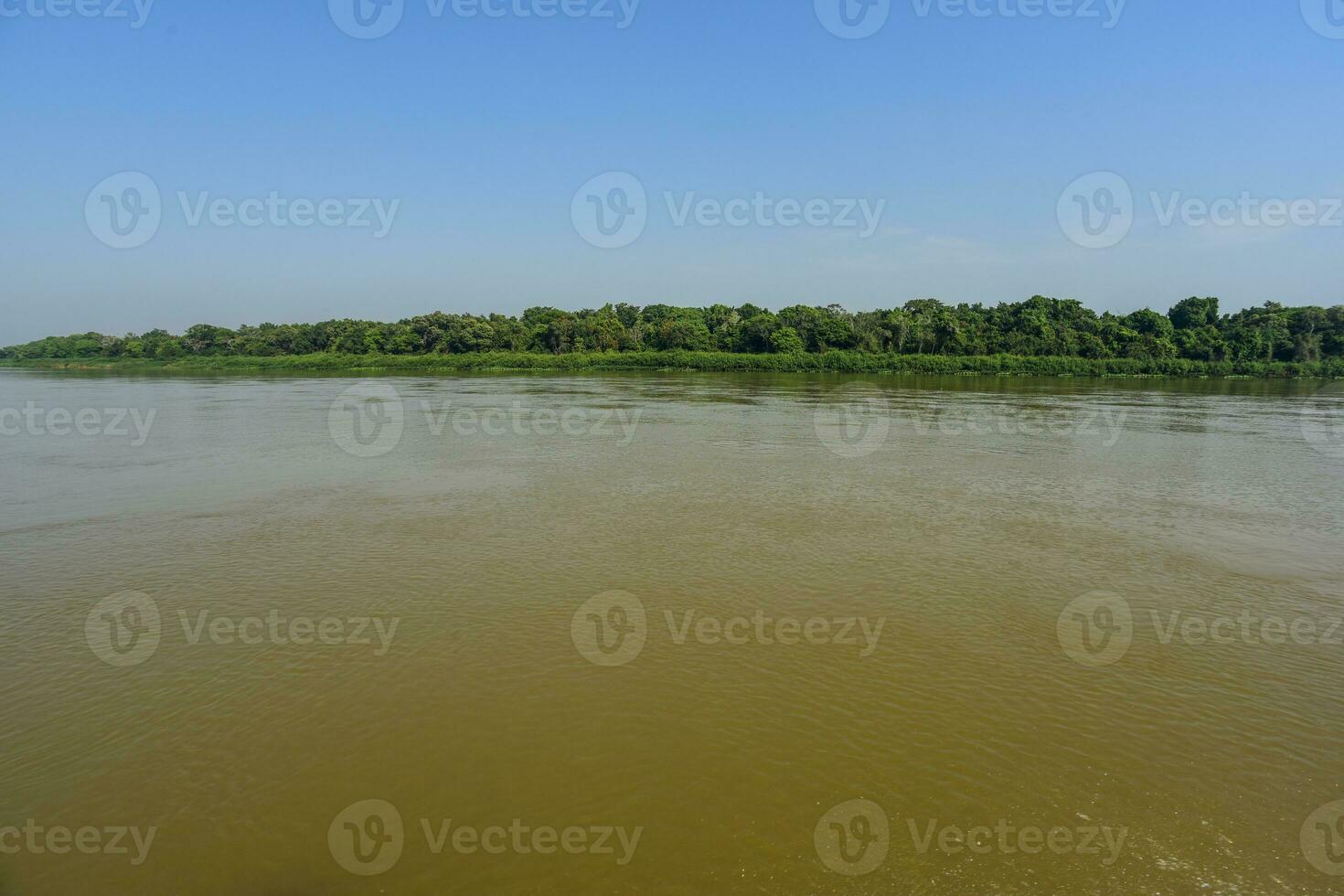 pantanal Ökosystem, mato Grosso, Brasilien foto