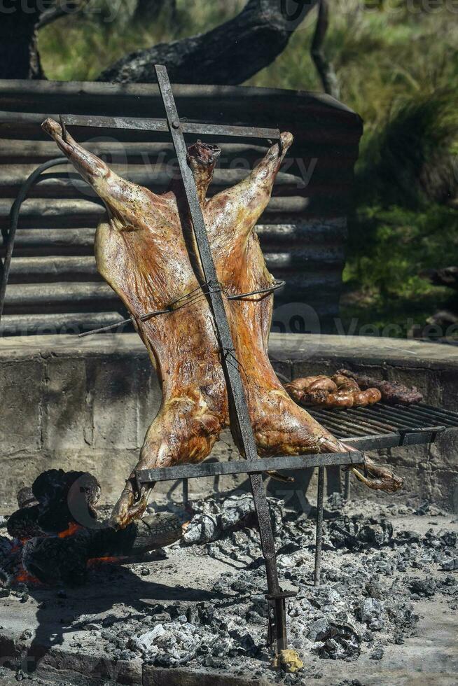 Lamm auf das Spucke, gekocht mit das traditionell Argentinien Methode, la Pampa Provinz, Patagonien, Argentinien. foto