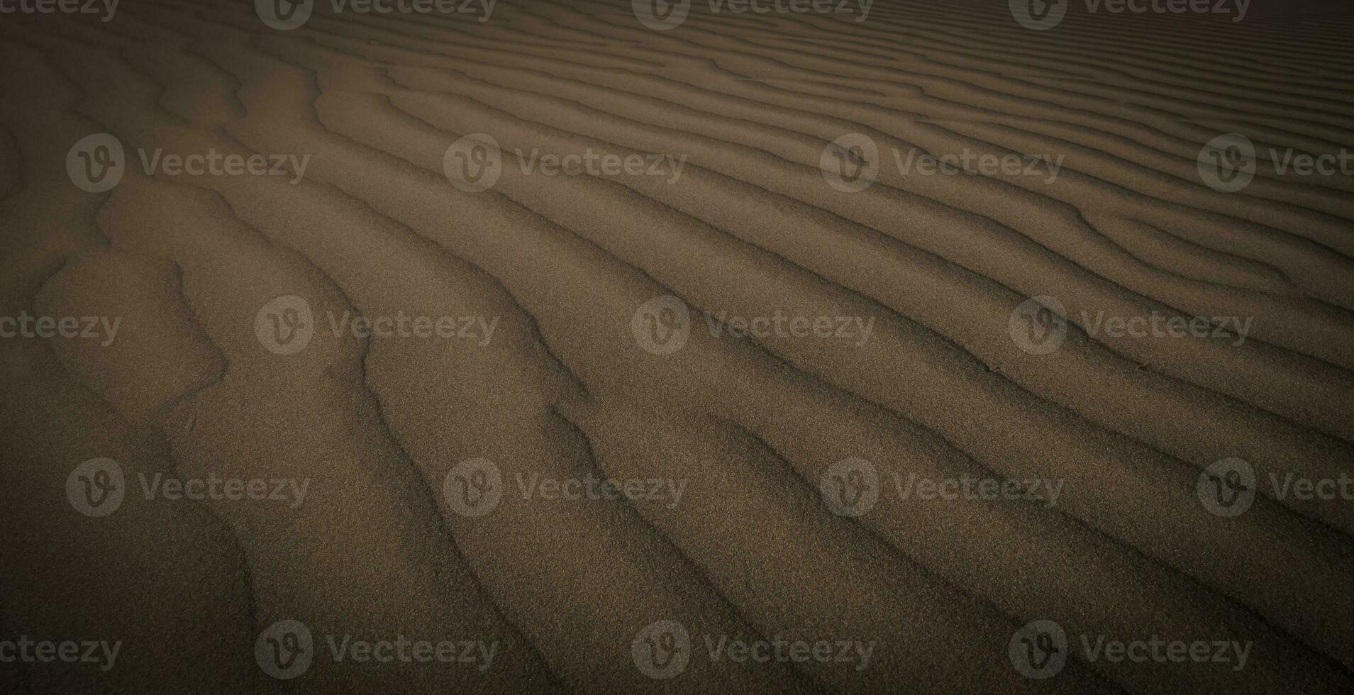 Düne Landschaft, la Pampa , Argentinien foto