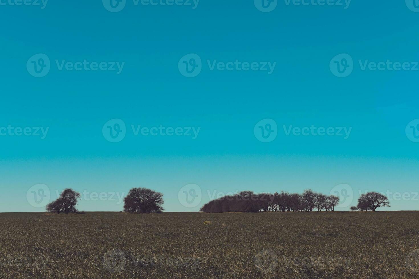 blumig Landschaft im Jahrgang Farbe bewirken foto