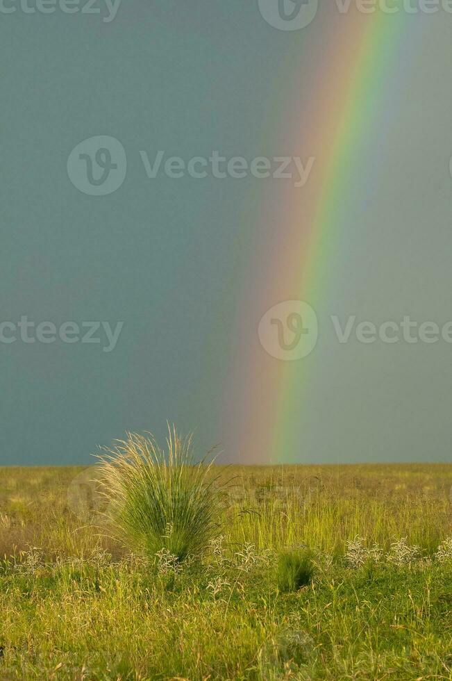 ländlich Landschaft und Regenbogen, Buenos Aires Provinz , Argentinien foto