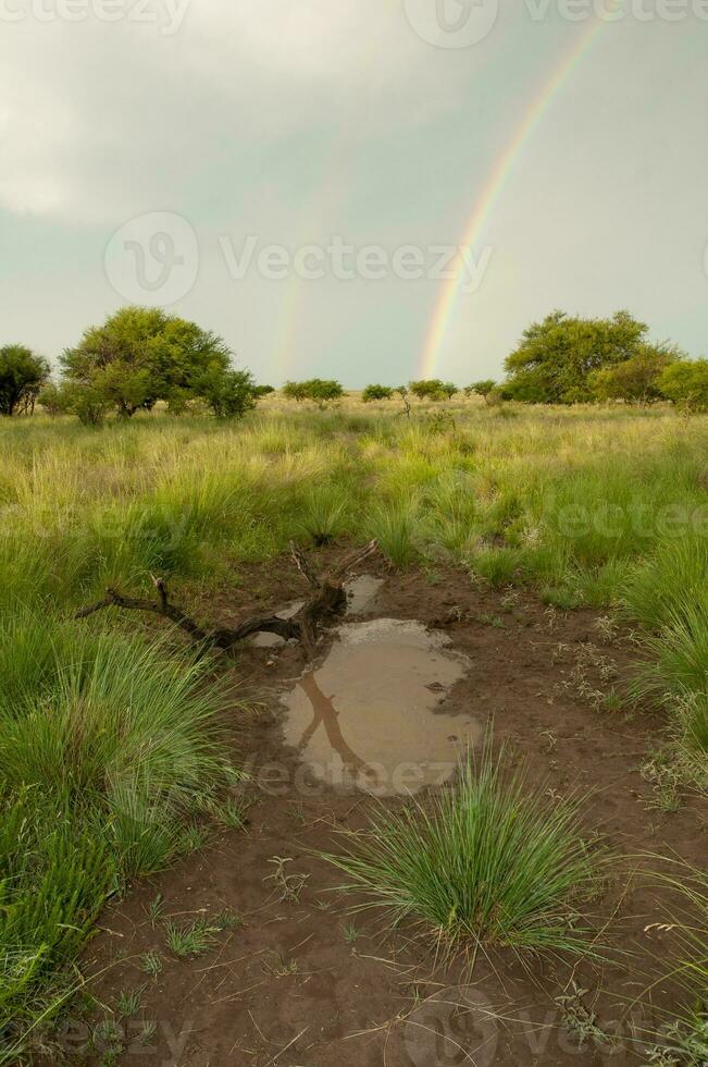 ländlich Landschaft und Regenbogen, Buenos Aires Provinz , Argentinien foto