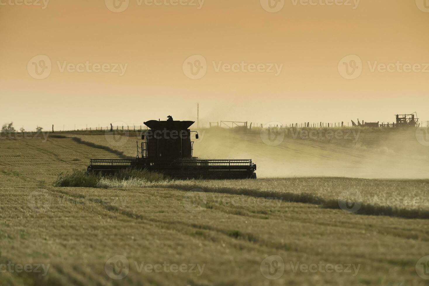 Mähdrescher Maschine, Ernte im das Argentinien Landschaft, Buenos Aires Provinz, Argentinien. foto