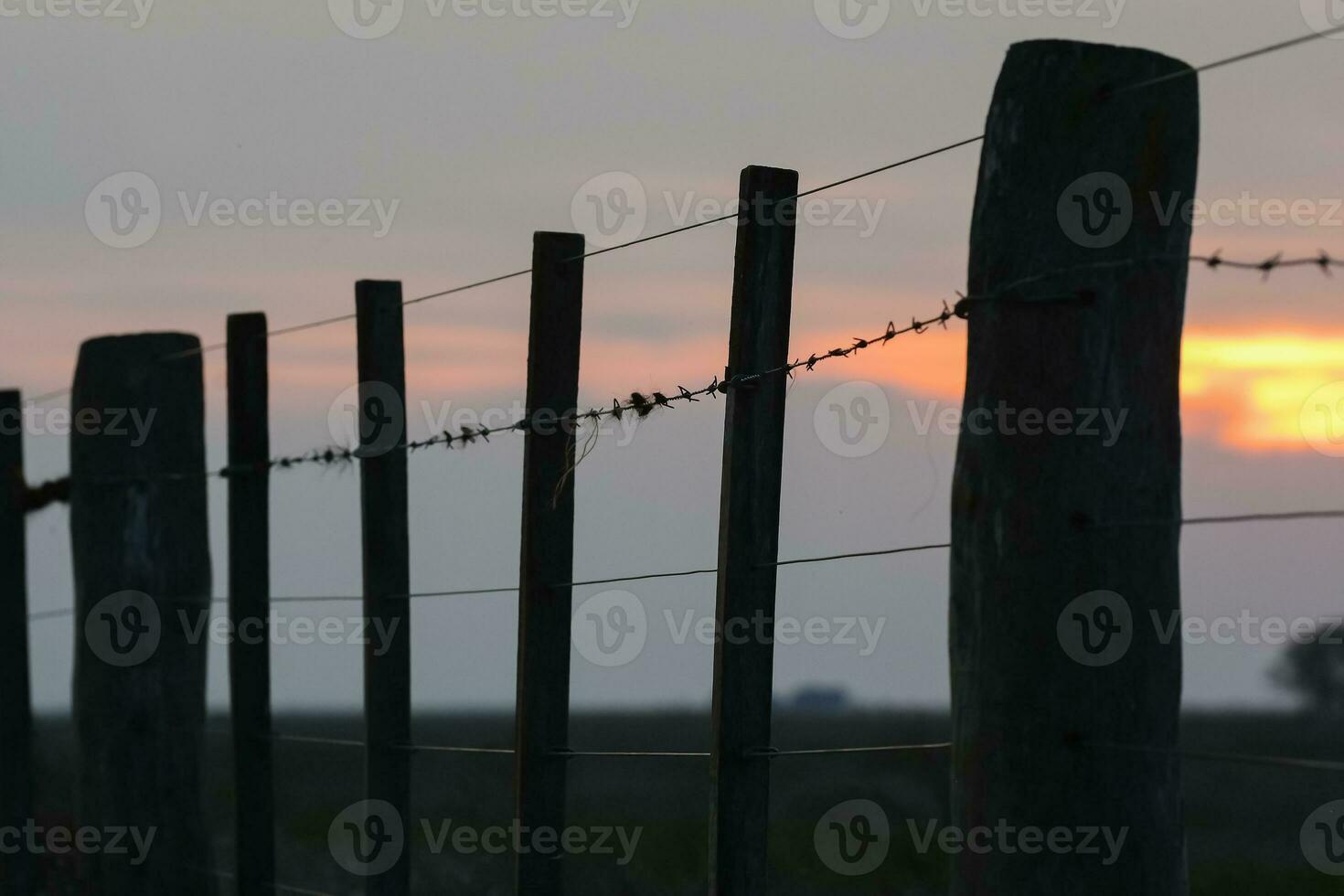 Draht Zaun beim Sonnenuntergang im das Argentinien Landschaft. foto