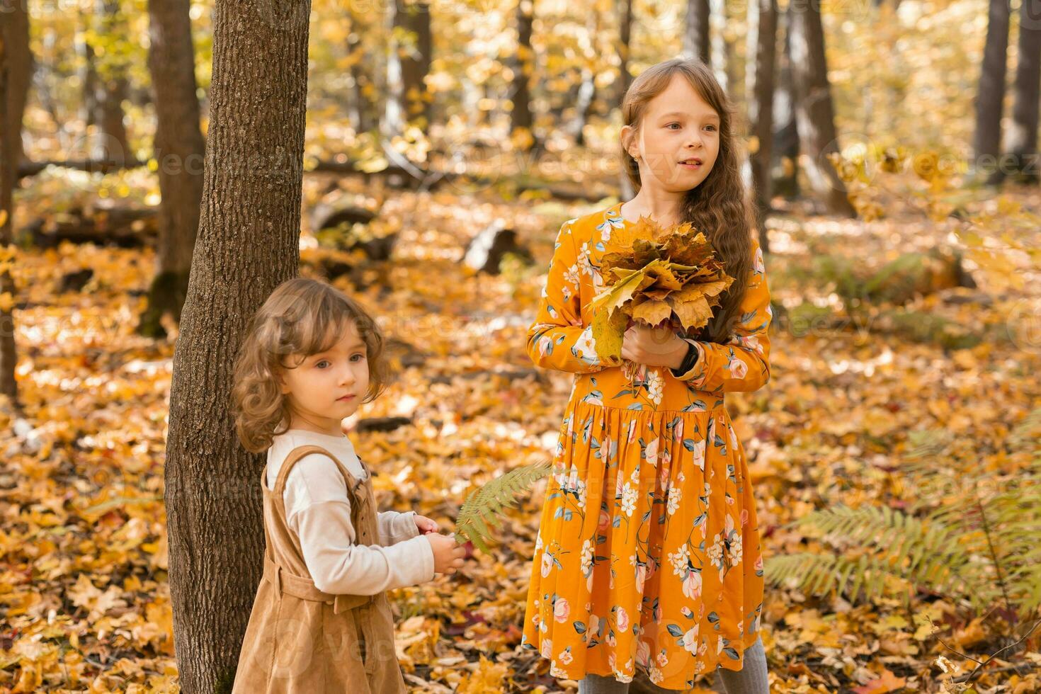 glücklich Kinder spielen im schön Herbst Park auf warm sonnig fallen Tag. wenig Schwestern abspielen mit golden Ahorn Blätter - - Spaß, Freizeit und Kindheit Konzept foto