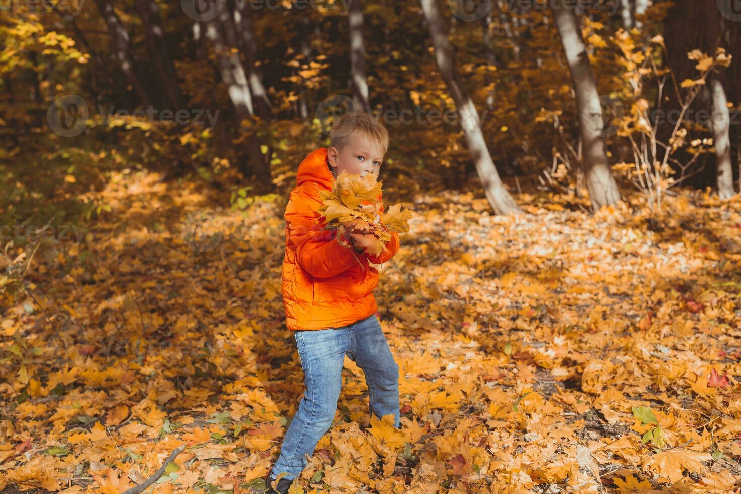 Junge wirft oben gefallen Blätter auf ein Hintergrund von Herbst Landschaft. Kindheit, fallen und Natur Konzept. foto