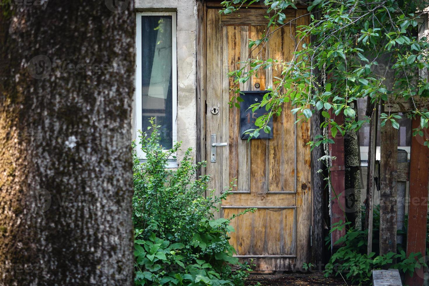 Holztür mit Briefkasten hinter Kirschbaum mit Blättern und unreifen Beeren foto