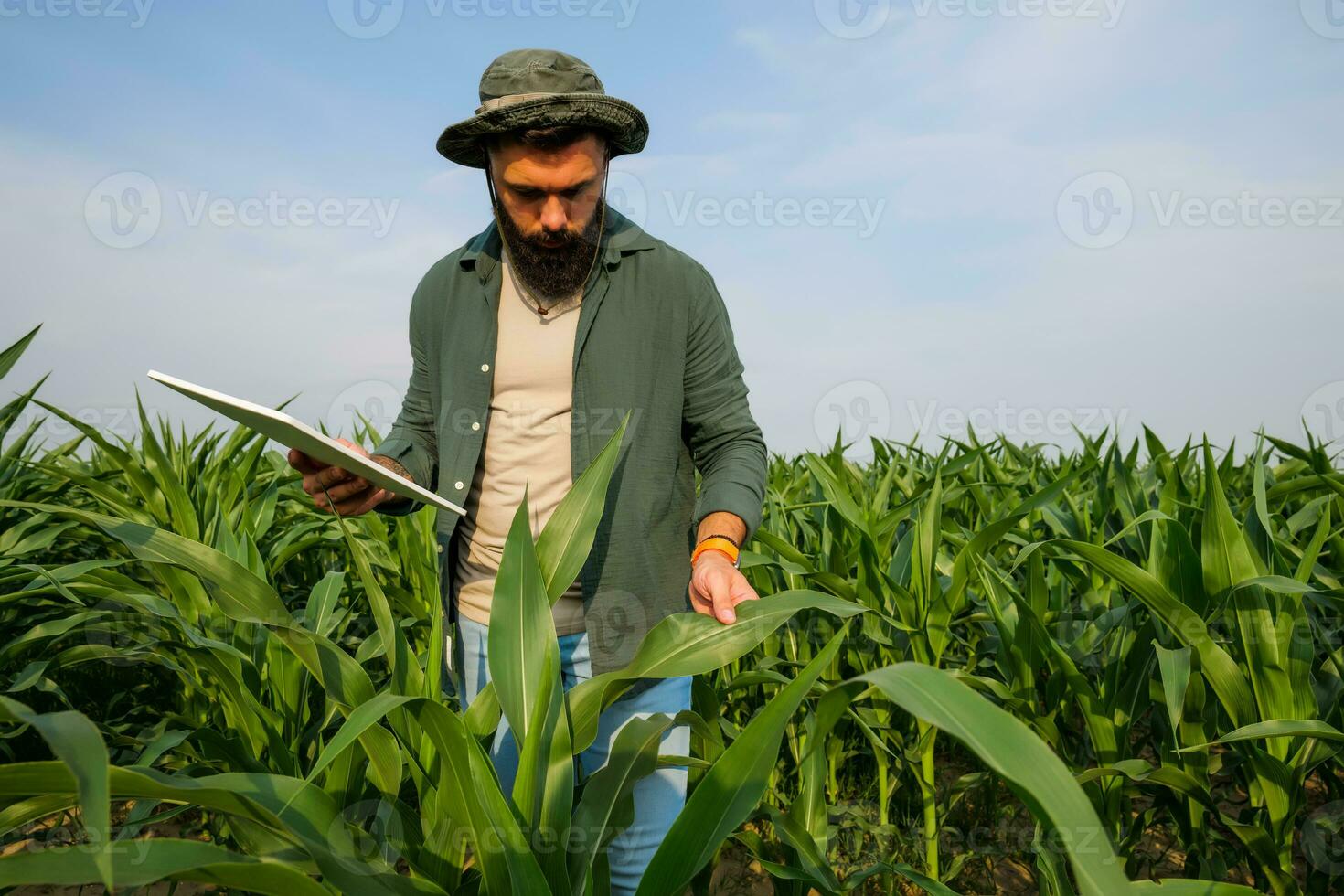 Porträt von Farmer Wer ist kultivieren Mais. sie ist Prüfung Fortschritt von Pflanzen. landwirtschaftlich Beruf. foto