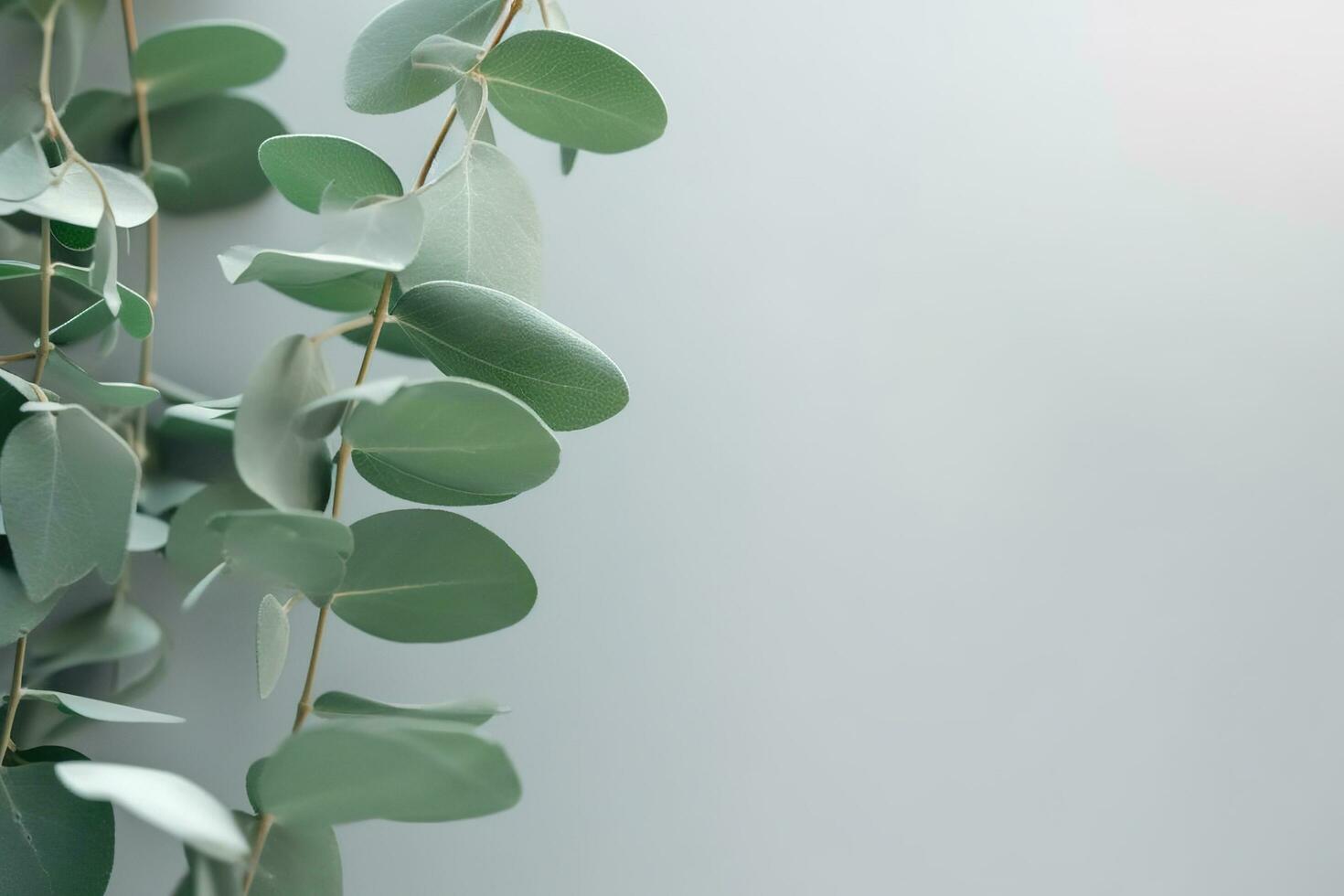 Blätter auf ein Mauer. eben lat von Eukalyptus Grün Geäst. ai generiert foto