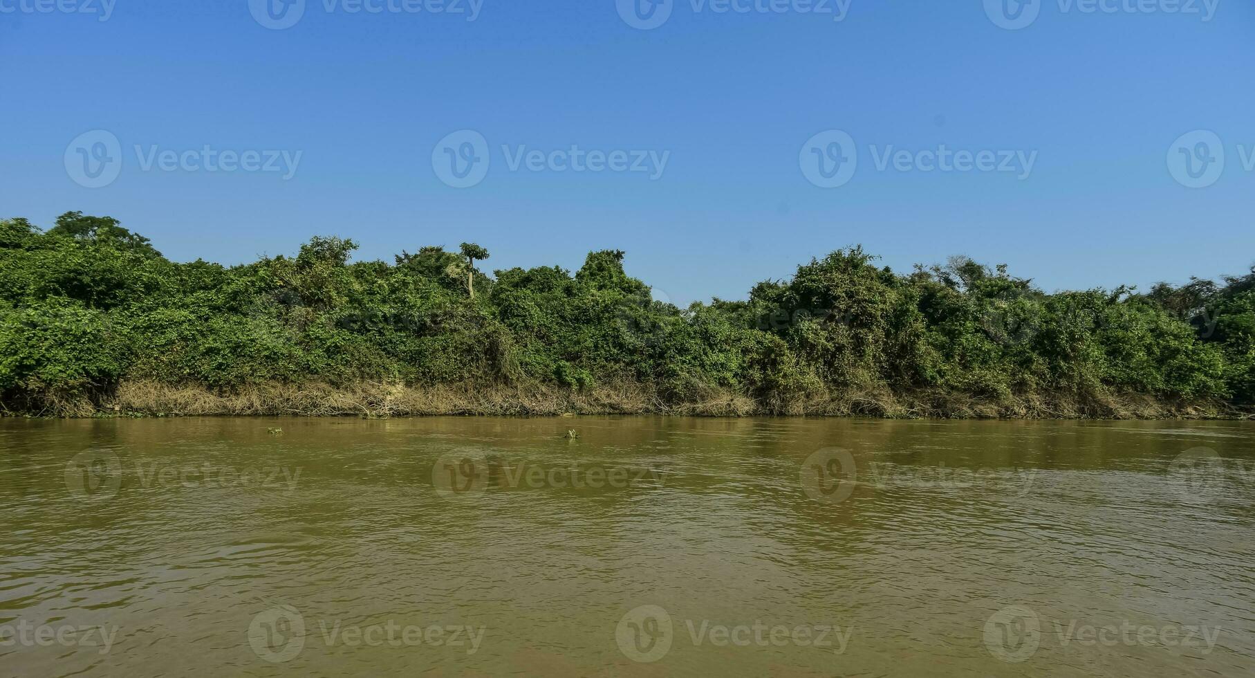 Fluss Landschaft und Dschungel, Pantanal, Brasilien foto