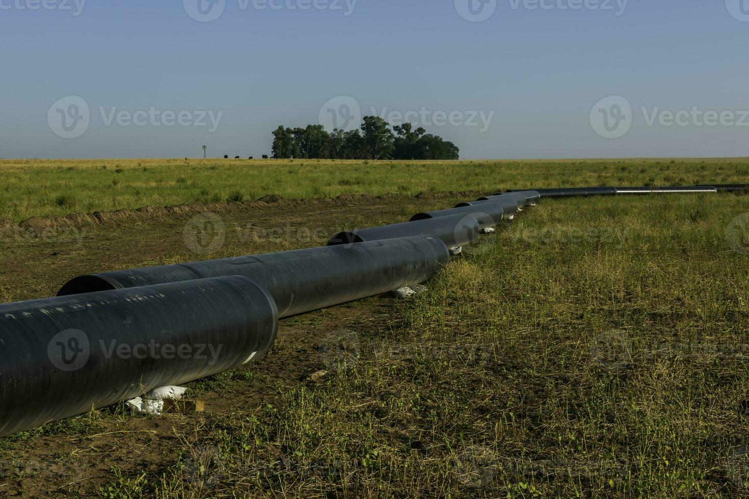 Gas Pipeline Konstruktion, la Pampa Provinz , Patagonien, Argentinien. foto