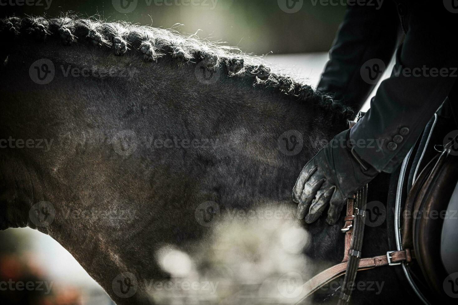 Fahrer Petting das Pferd nach Show Springen Wettbewerb foto