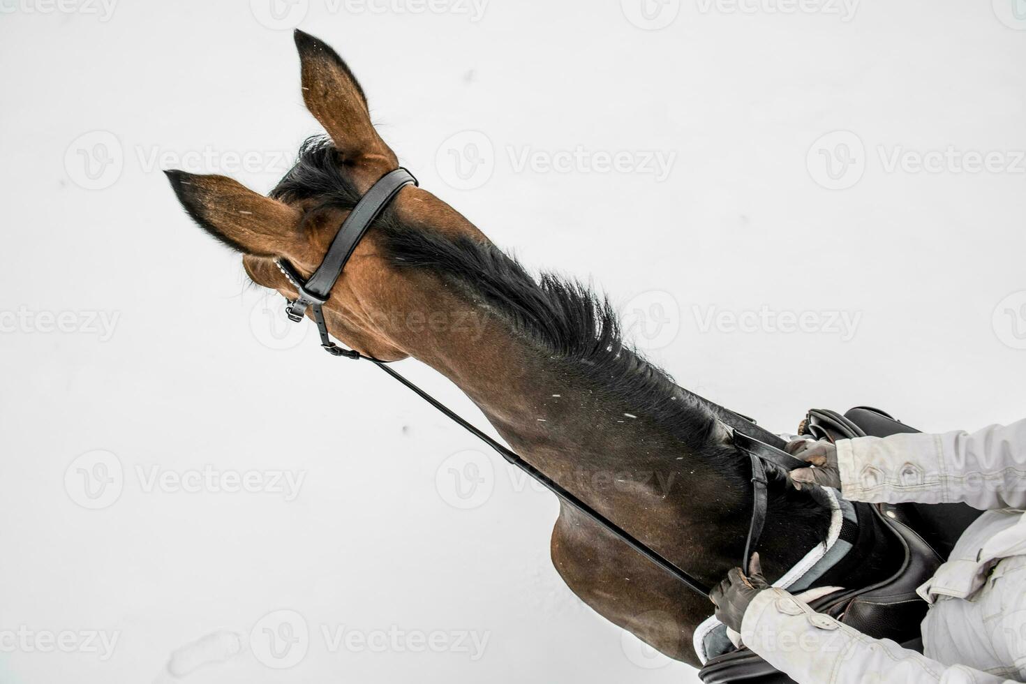 Pferd Fahrer gesehen von über. Pferdesport Thema. foto