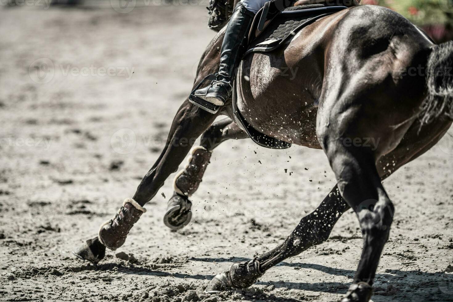 Show Springen Pferd im Aktion auf das Parcours foto